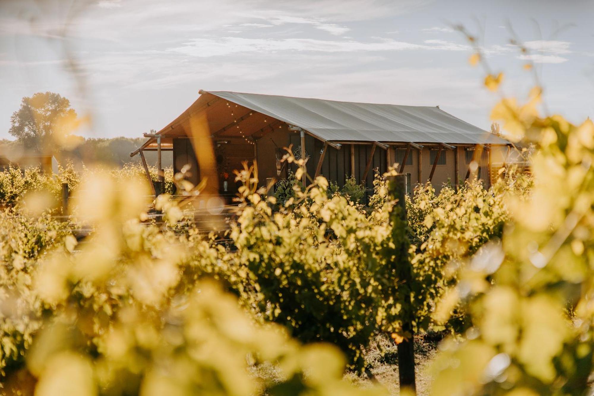 Villas & Vines Glamping Hastings Exterior foto